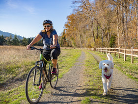 Woman biking with dog
